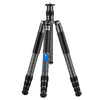 Cámara DSLR portátil BEXIN W-334C, 2 en 1, trípode de fibra de carbono, monopié desmontable (negro)