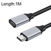 1M 10GBPS USB-C / Type-C Cable de extensión de transmisión de datos de carga masculina a mujer
