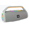 Altavoz Bluetooth inalámbrico portátil para exteriores T&G TG417 de 40 W con micrófono dual y graves (gris)