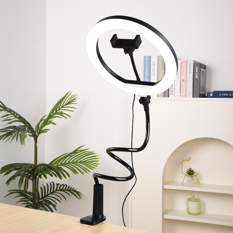 EDA0085575_B12.jpg@449f6cd7259160fc57168b30f084807f