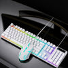 Conjunto de teclado y ratón con cable iluminados de colores SHIPADOO D500 (blanco)
