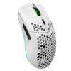 HXSJ T66 Ratón inalámbrico para juegos programable con iluminación colorida de 7 teclas (blanco)