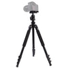 Trípode de aleación de aluminio portátil ajustable Triopo C-158 + KJ-1