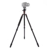 Triopo MT-2504C Trípode de aluminio portátil ajustable con cabezal de bola NB-1S para cámara Canon Nikon Sony DSLR (negro)