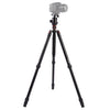 Triopo MT-2804C Trípode de aluminio portátil ajustable con rótula esférica NB-2S para cámara Canon Nikon Sony DSLR (negro)