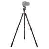 Triopo GT-2504X8.C Trípode de fibra de carbono portátil ajustable con rótula de bola de aluminio B-1 para cámara Canon Nikon Sony DSLR (negro)