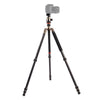 Triopo GT-2504X8.C Trípode de fibra de carbono portátil ajustable (dorado) con rótula de bola de aluminio B-1 (negro) para cámara Canon Nikon Sony DSLR