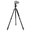 Triopo GT-2804X8.C Trípode de fibra de carbono portátil ajustable con rótula de bola de aluminio B-2 para cámara Canon Nikon Sony DSLR (negro)