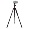 Triopo GT-2804X8.C Trípode de fibra de carbono portátil ajustable (dorado) con rótula de aluminio B-2 (negro) para cámara Canon Nikon Sony DSLR