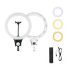 JMARY FM-12R - Anillo de luz LED para fotografía (12 pulgadas, enchufe estadounidense)