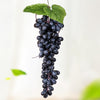 2 racimos 110 uvas negras simulación de frutas simulación de frutas PVC con crema de brote de uva