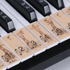 M52 88/76/61/54/49 Teclas de teclado de piano (jirafa)