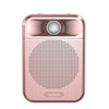 Rolton K700 Bluetooth Altavoz de audio con dos altavoces Megáfono Amplificador de voz (Oro rosa)