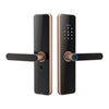 Cerradura electrónica de puerta con huella digital y contraseña WiFi inteligente C91 Tuya (bronce)