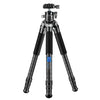 BEXIN RC254 + LH-28 Trípode plegable portátil de fibra de carbono Cámara SLR Soporte de fotografía cardán central de baja gravedad