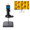 Cámara industrial con microscopio electrónico de medición, tamaño: 60 fotogramas, interfaz dual de 14 megapíxeles con medición