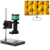 Cámara industrial con microscopio electrónico de medición, tamaño: 60 fotogramas, interfaz dual de 48 megapíxeles con medición