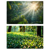 Papel de fondo para fotografía de bosque 3D de doble cara de 57 x 87 cm (03)