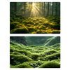 Papel de fondo para fotografía de bosque 3D de doble cara de 57 x 87 cm (05)