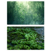 Papel de fondo para fotografía de bosque 3D de doble cara de 57 x 87 cm (06)