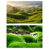 Papel de fondo para fotografía de bosque 3D de doble cara de 57 x 87 cm (07)