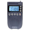 RIZFLY MY518 - Radio transmisora portátil FM/AM con Bluetooth de 2 bandas (azul)