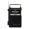 Radio de dos bandas TECSUN R-206 FM/MW