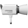 Godox Litemons LA300R RGB LED Monolight (Kit de 2 luces)