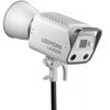 Godox Litemons LA300R RGB LED Monolight (Kit de 2 luces)