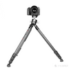 Triopo GS3108+X40 Trípode Fibra de Carbón Para Fotografía