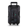 Parlante Bluetooth Karaoke Microlab City Song Mic Inalambrico