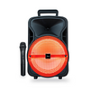 Parlante Bluetooth Karaoke Microlab City Song Mic Inalambrico