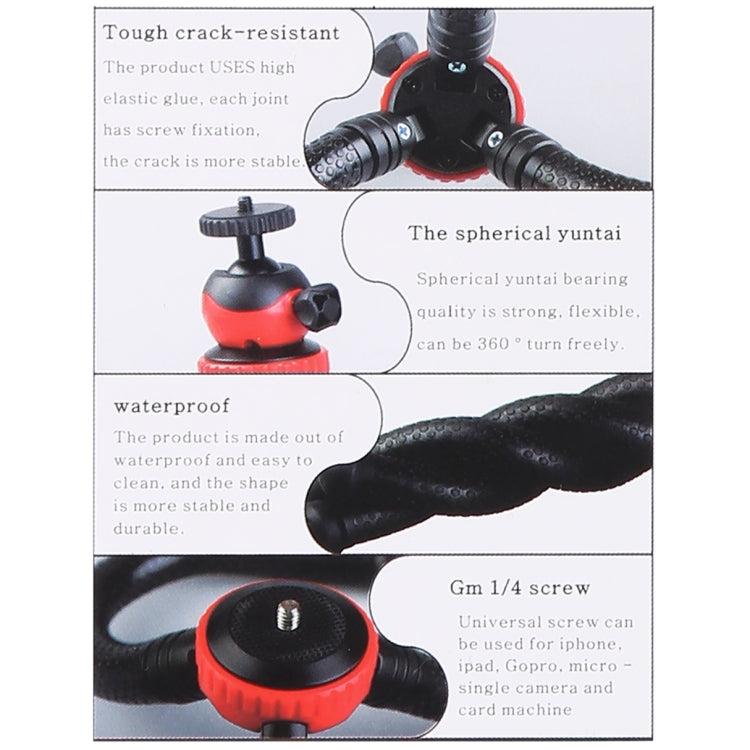 DCA0695_9.jpg@e391e574ad1a10b21a92cc1a535fc2b9