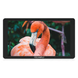 Monitor de campo FEELWORLD P6XL de frente mostrando una imagen a todo color