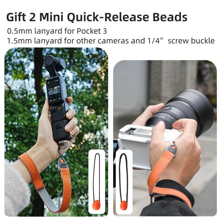 DCA4058_B4.jpg@97332f440892b8fe227123527ba2e4c9