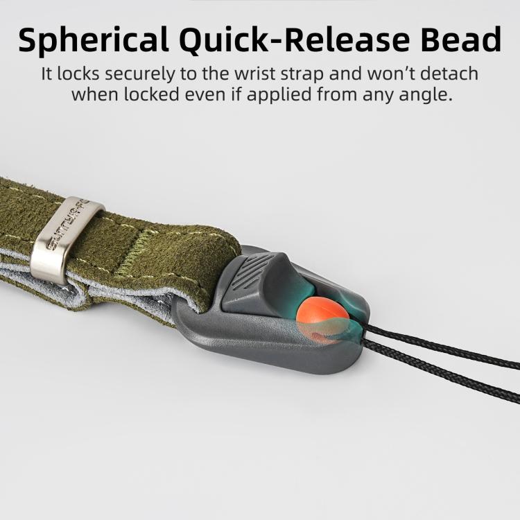 DCA4058_B6.jpg@9349a3ef03a1949d94ef4c664432609b