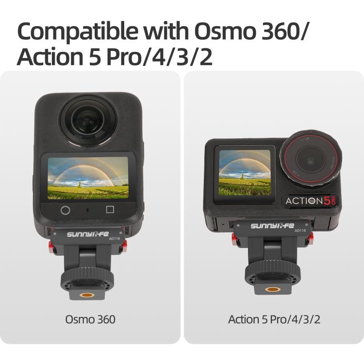 DOP3975B_3.jpg@9dabcc4010818e86da74d9ca448e643d