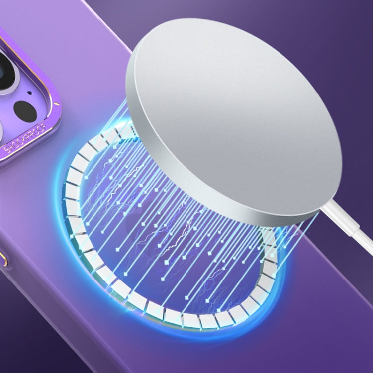 EDA003857408_B4.jpg@877d3ddf1172c7ab0fe3b3c05dd59c1b