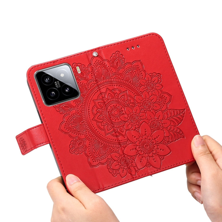 EDA007116703D_5.jpg@821edbd92648e20614b12e6577813bb6