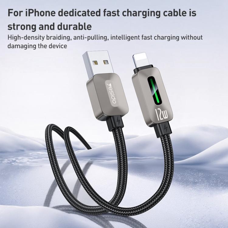 EDA008098601A_1.jpg@266a8e43f5679dc192d8a9e1cae5a816