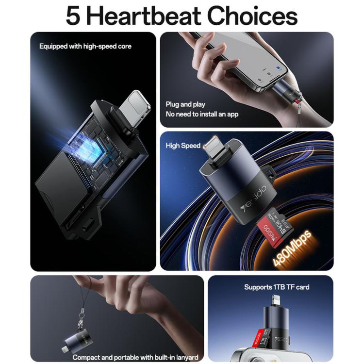 EDA008268801A_2.jpg@797c0c90dbffb4a5f77e6e526e037077