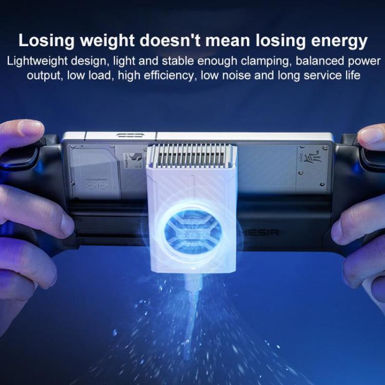 EDA008356901A_1.jpg@c261d21f63a136833f05407702b02d02