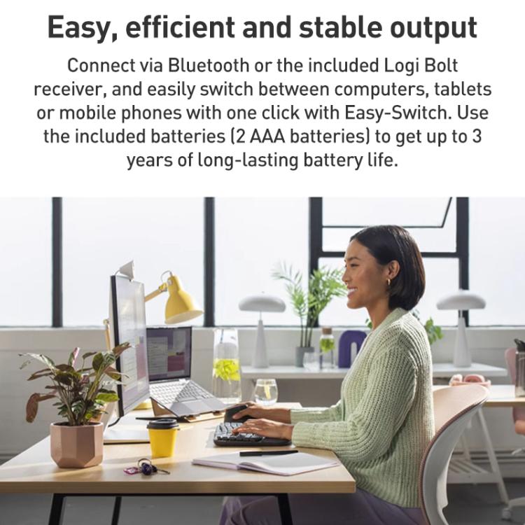 EDA0084576_B8.jpg@58c42bbec5599a74a329e811275f26a9