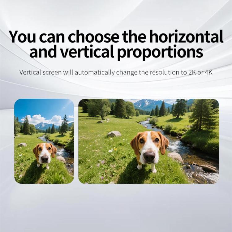 EDA008467201A_10.jpg@910774d0720c6de2d958b8e828e95e08