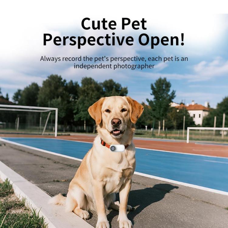 EDA008467202A_14.jpg@982593f1aa7bf6bc5a43e3d12911c5fa