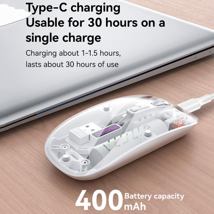 EDA0084960_B10.jpg@98e335a64e988ad56312cdc2dc8b7edc