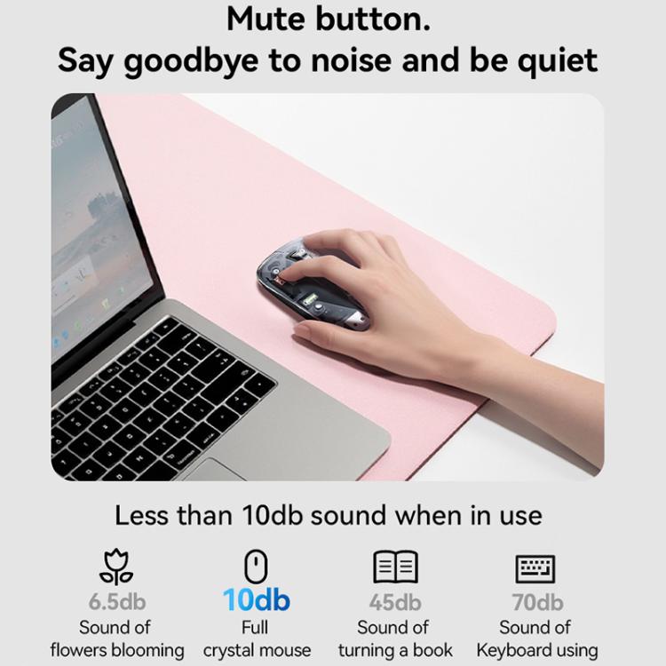 EDA0084960_B2.jpg@dbbd474f712276cd1c48385cb8523ab3