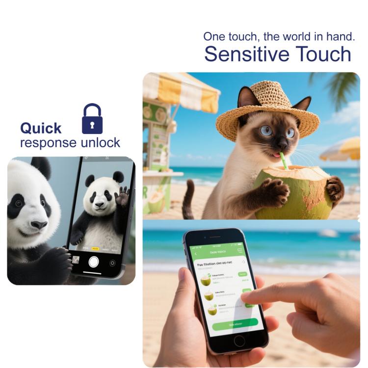 EDA008514102_7.jpg@19ca1d22f690d81d7b1ca97c56ed87d1