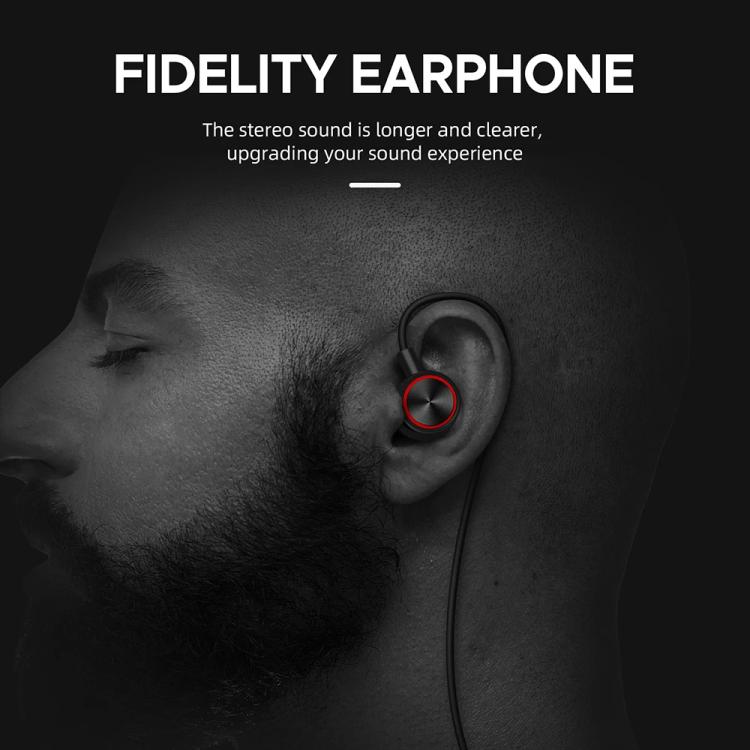 EDA0085427_B8.jpg@135be85daa58d7aefceab4e0e3222972