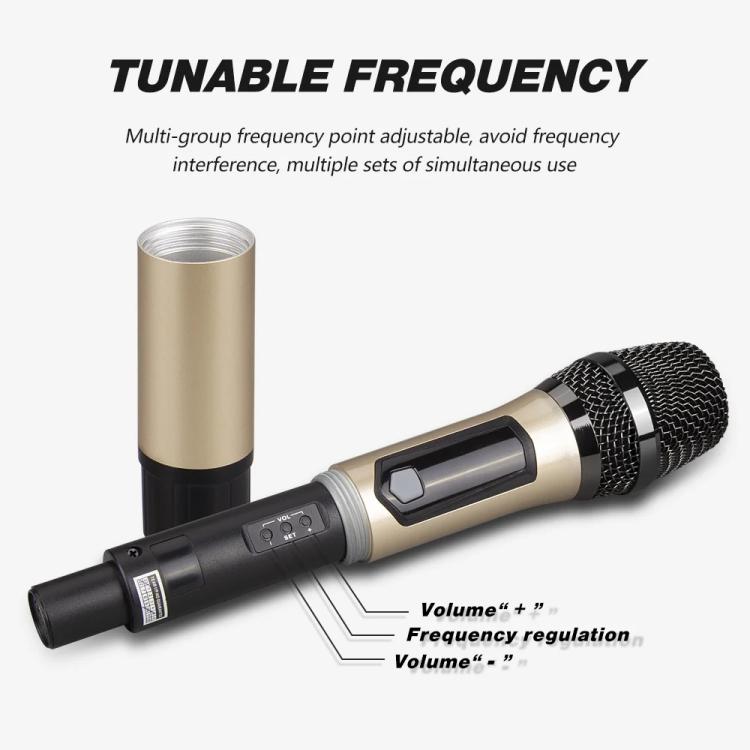 EDA0085552_B4.jpg@62c9e6b380163f21f9fe9857835d4915